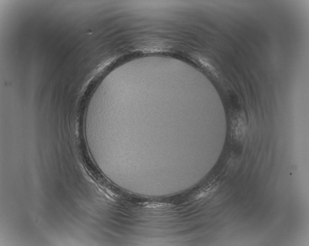 X0000063440539200602171833