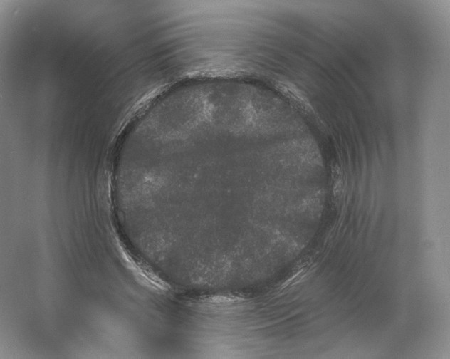 X0000063440542200602171833