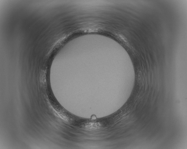 X0000063440543200602171833