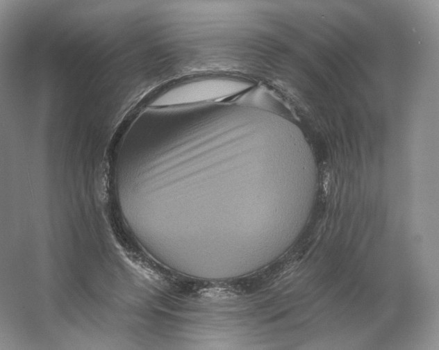 X0000063440544200602171833