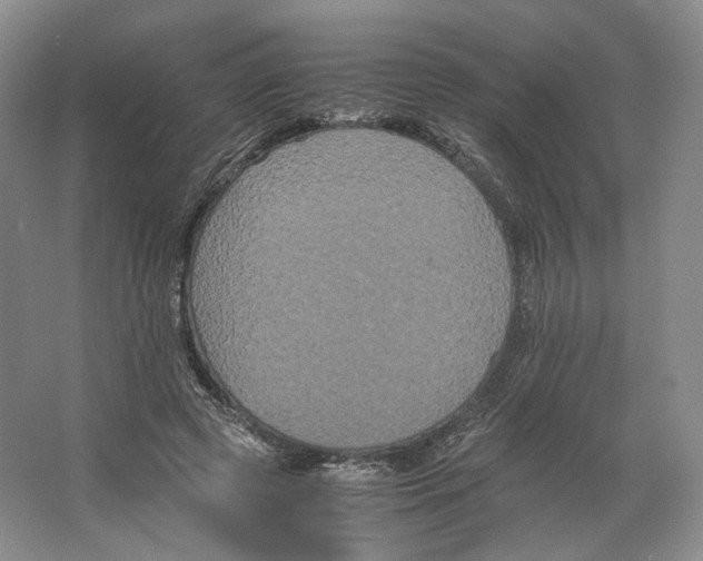 X0000063440545200602171833
