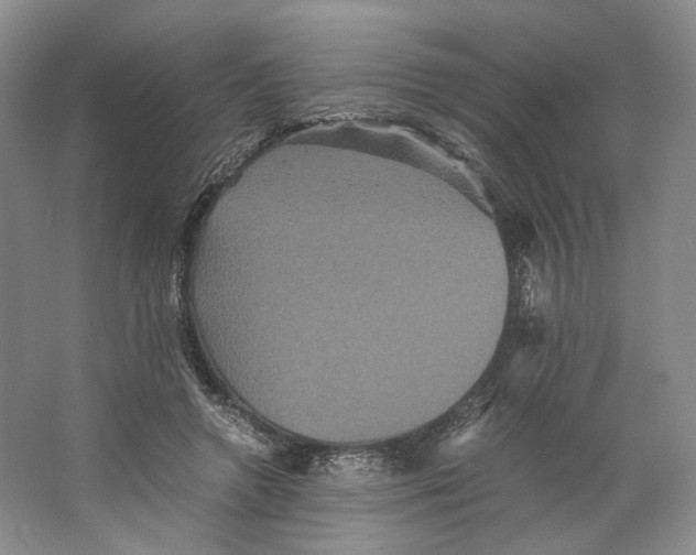 X0000063440546200602171833