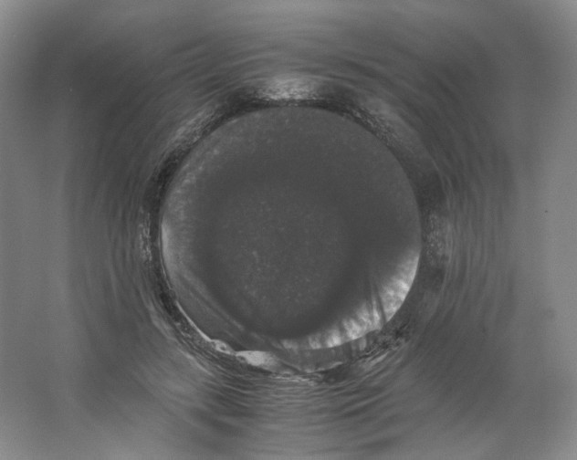 X0000063440547200602171833