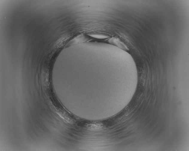 X0000063440548200602171833