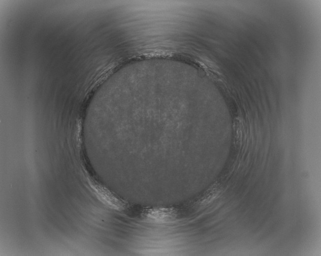 X0000063440550200602171833