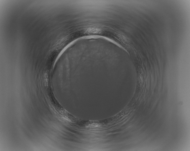 X0000063440551200602171833