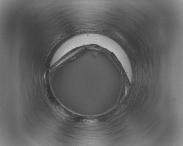 X0000063440552200602171833