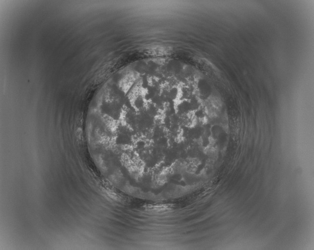 X0000063440553200602171833