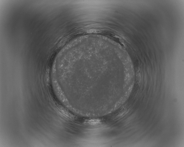 X0000063440554200602171833