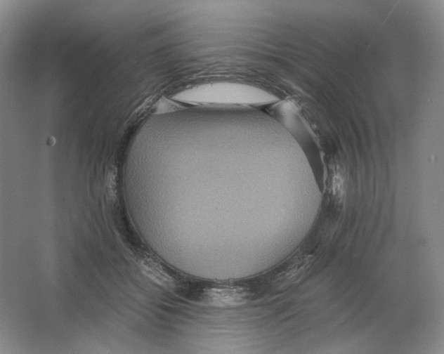 X0000063440556200602171833
