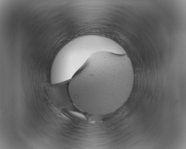 X0000063440558200602171833