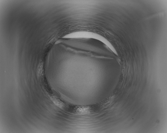 X0000063440560200602171833