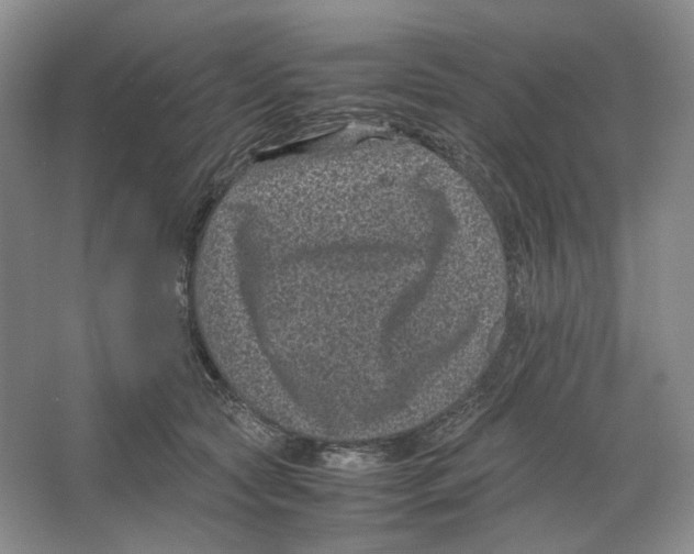 X0000063440561200602171833