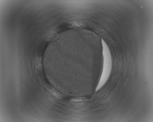X0000063440563200602171833