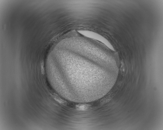 X0000063440564200602171833