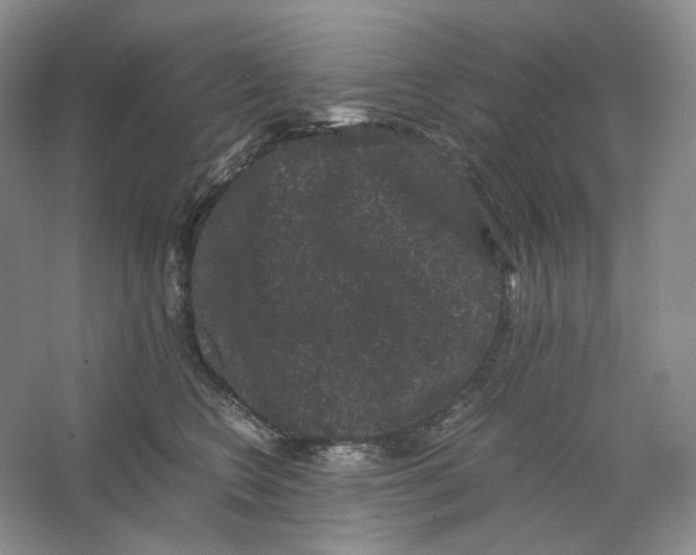 X0000063440566200602171833