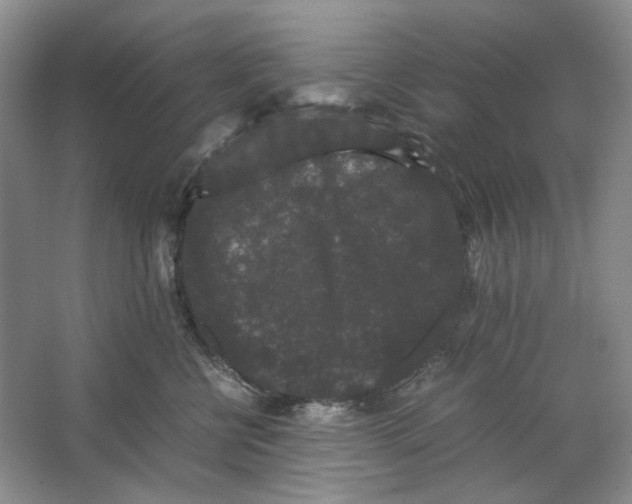 X0000063440570200602171833