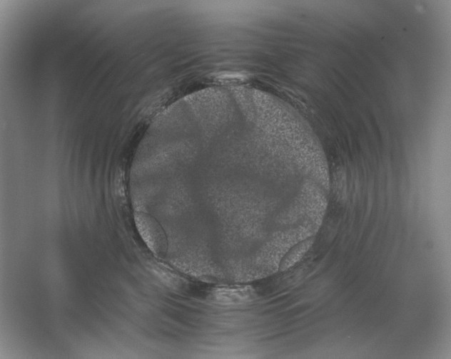 X0000063440571200602171833