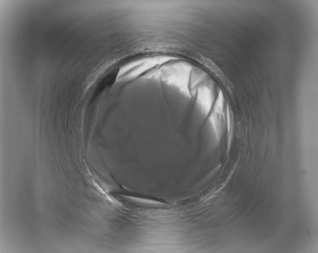 X0000063440577200602171833