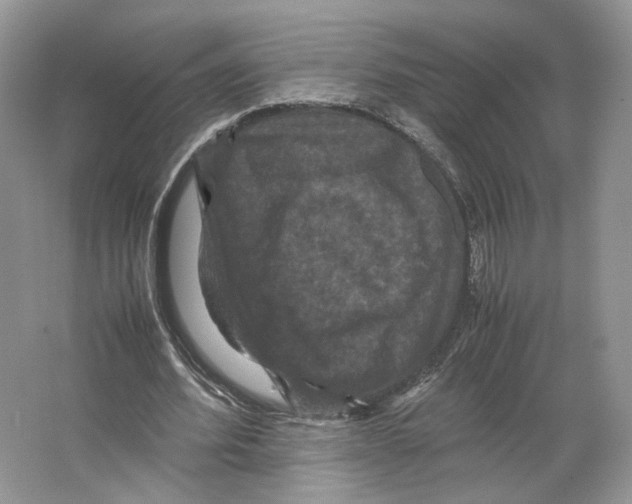 X0000063440580200602171833