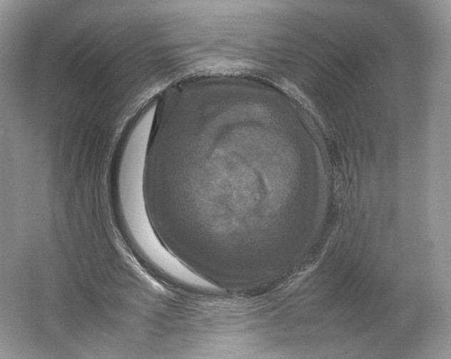 X0000063440581200602171833