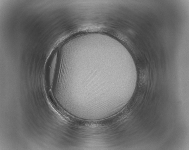 X0000063440582200602171833