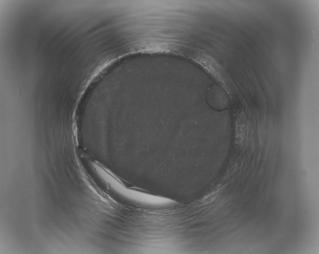 X0000063440584200602171833