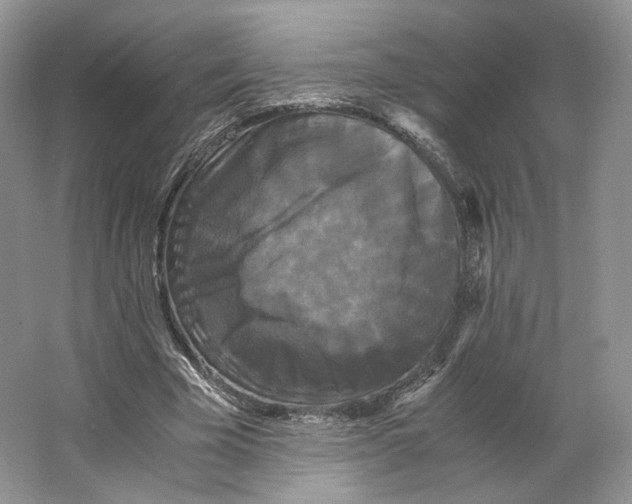 X0000063440585200602171833