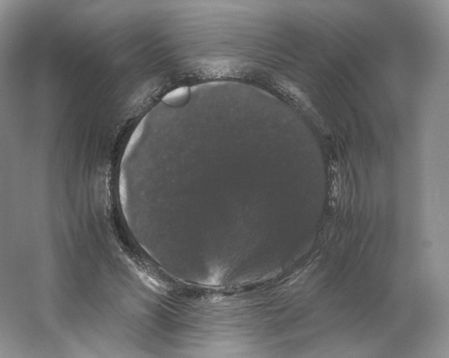 X0000063440590200602171832