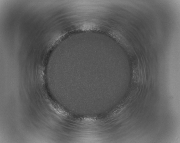X0000063440592200602171832
