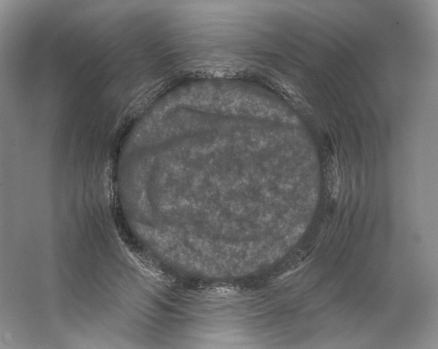 X0000063440594200602171832