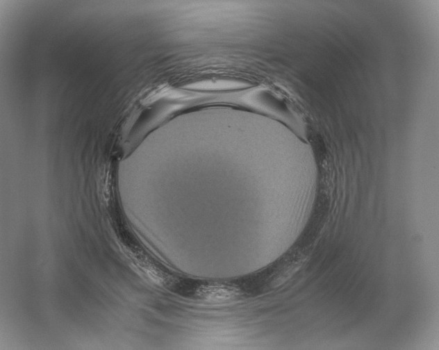 X0000063440597200602171832