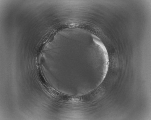 X0000063440598200602171832