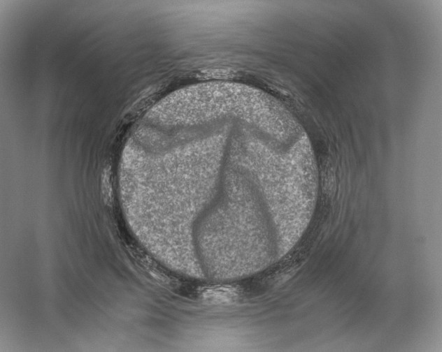 X0000063440599200602171832