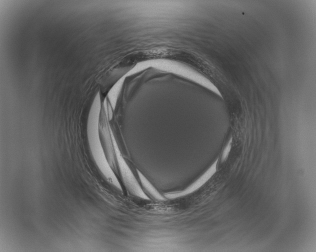X0000063440601200602171832