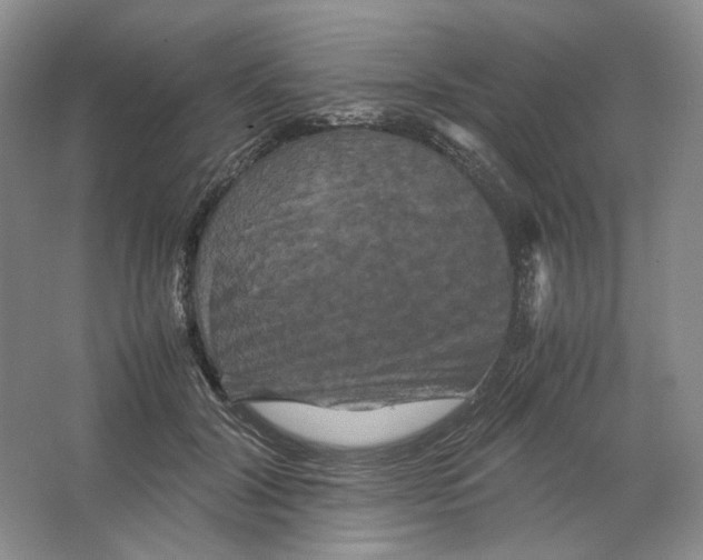 X0000063440604200602171832