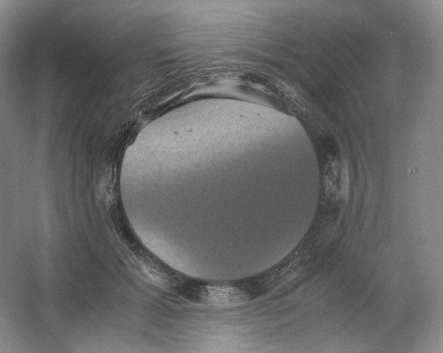 X0000063440605200602171832