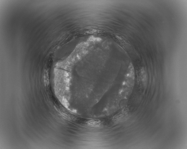 X0000063440606200602171832