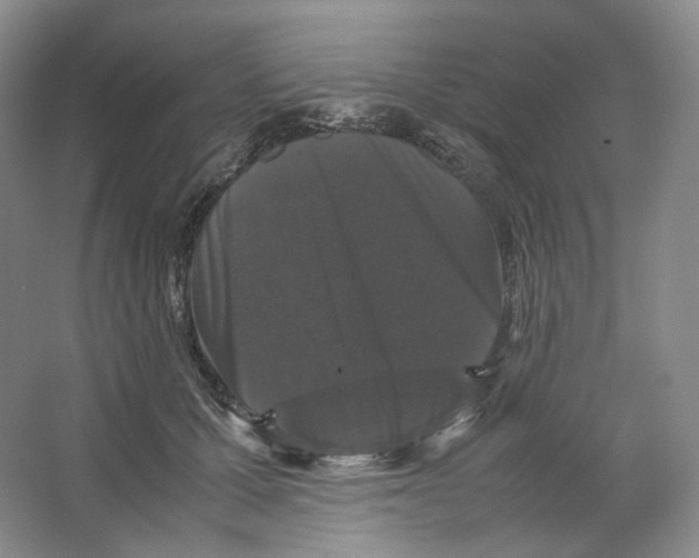 X0000063440607200602171832