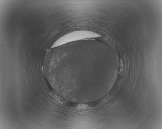 X0000063440609200602171832