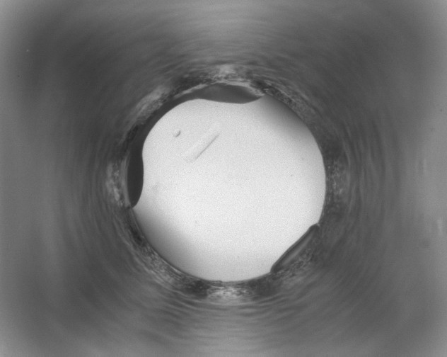 X0000063440611200602171832