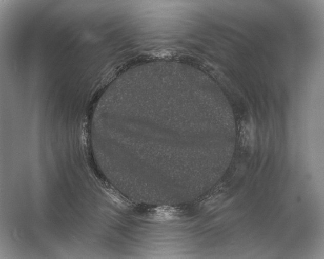 X0000063440612200602171832