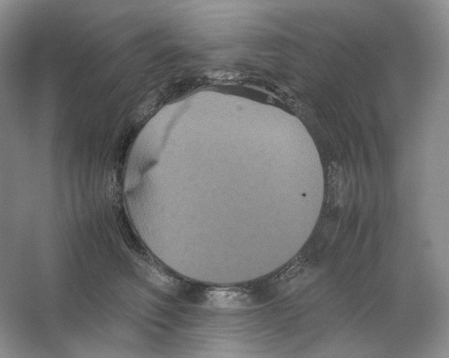 X0000063440614200602171832