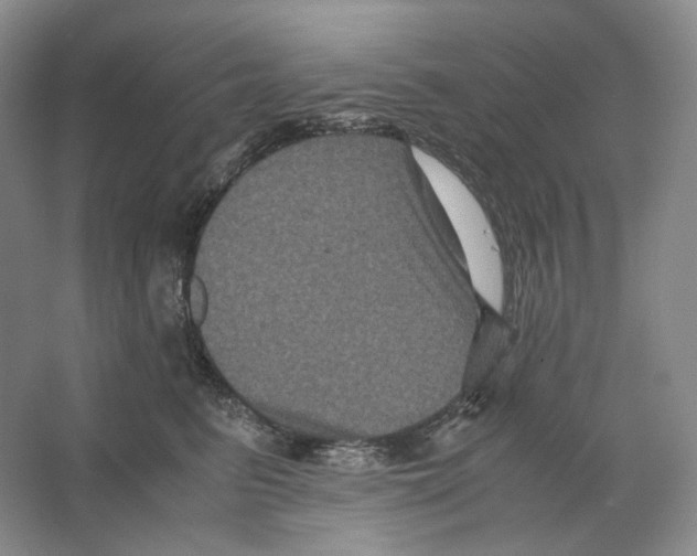 X0000063440615200602171832