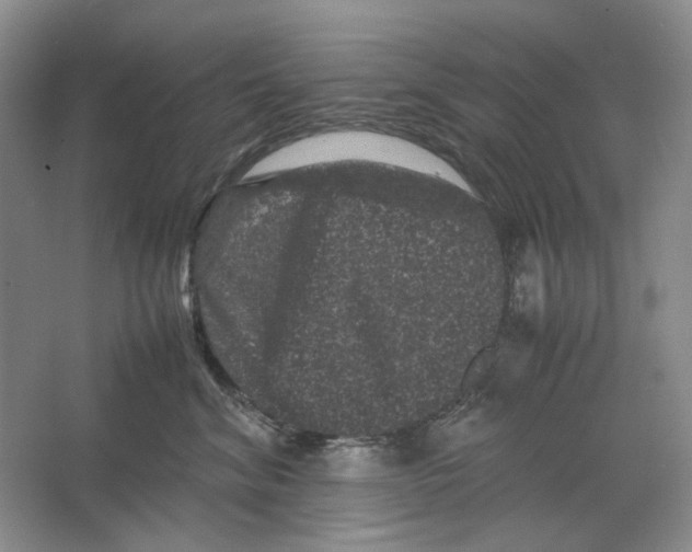 X0000063440620200602171832