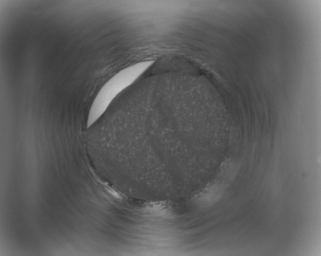 X0000063440624200602171832