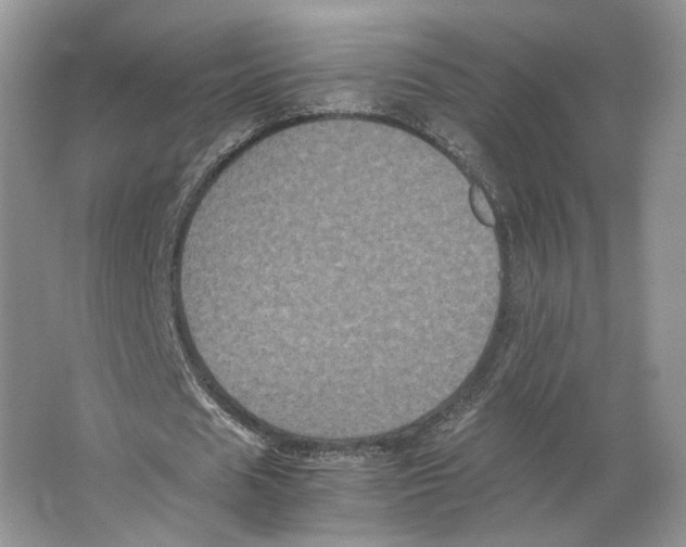 X0000063440625200602171831
