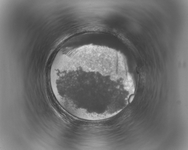 X0000063440626200602171831