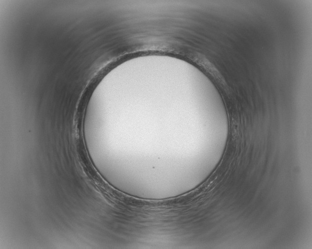 X0000063440628200602171831