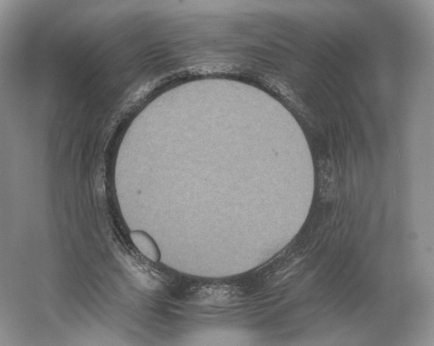 X0000063440631200602171831